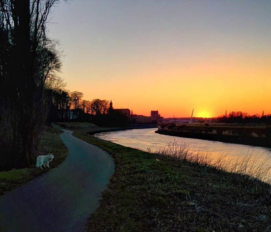 B&B Close2Ghent Heusden Εξωτερικό φωτογραφία